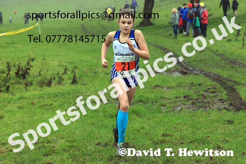 Girls under-13s 2023 NECAA Cross Country Relays, Thornley Hall Farm, Peterlee, County Durham. Photo: David T. Hewitson/Sports for All Pics